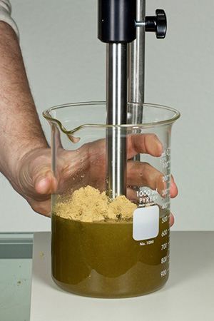 High-shear homogenizer processing a THCA preparation